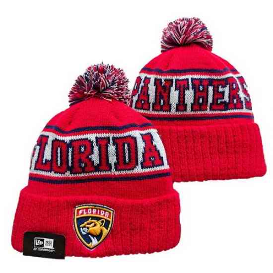 Florida Panthers Beanies 25K 532