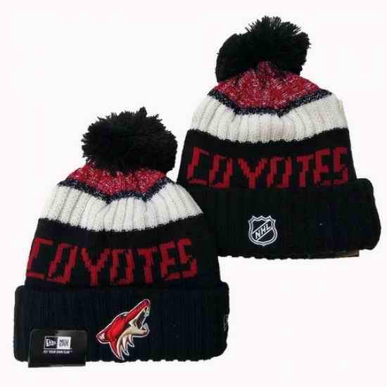 Arizona Coyotes Beanies 25K 389