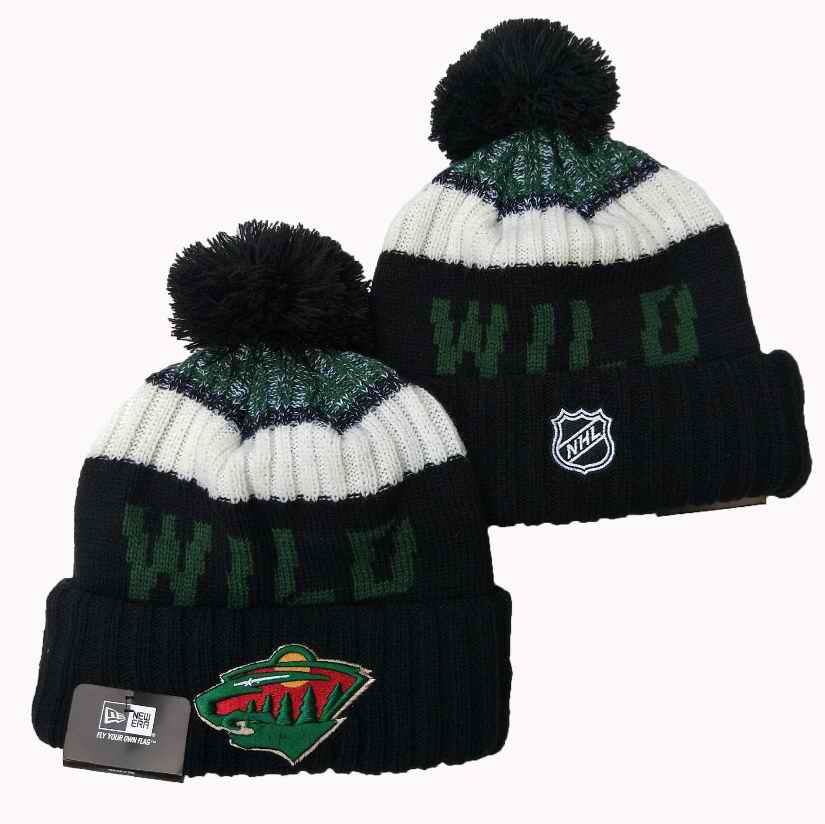 Minnesota Wild 2024 Knit Hats 001