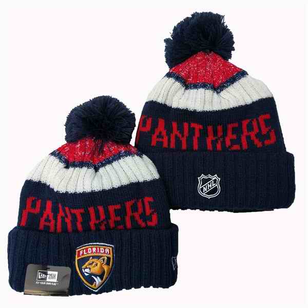 Florida Panthers 2024 Knit Hats 001
