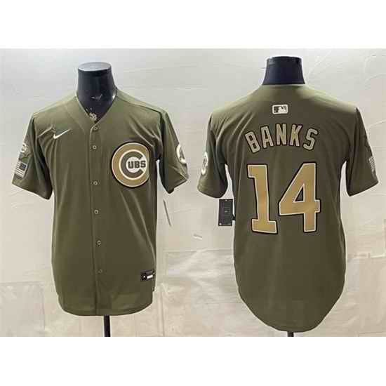 Men Chicago Cubs  14 Ernie Banks Royal Olive 2026 Armed Forces Day Salute To Service Stitched Baseball Jersey